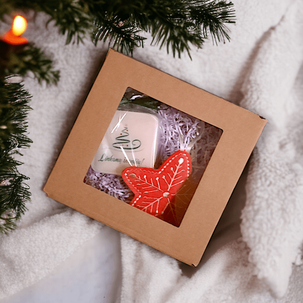 Christmas Gift Set #4 (Soap bar+Ornament)